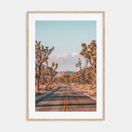 Joshua Tree National Park Photo Color No 2 Poster