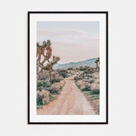 Joshua Tree National Park Photo Color No 3 Poster