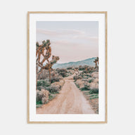 Joshua Tree National Park Photo Color No 3 Poster