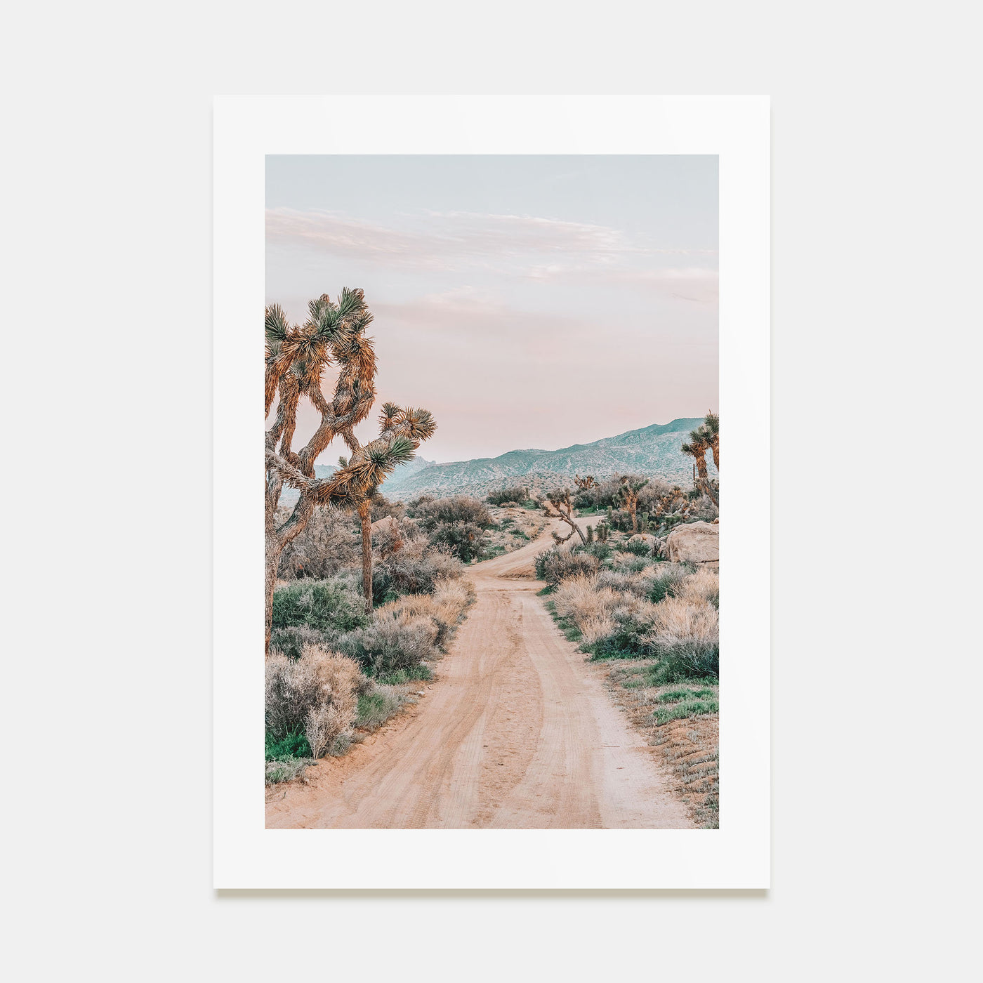 Joshua Tree National Park Photo Color No 3 Poster