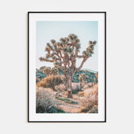 Joshua Tree National Park Photo Color No 4 Poster