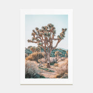 Joshua Tree National Park Photo Color No 4 Poster