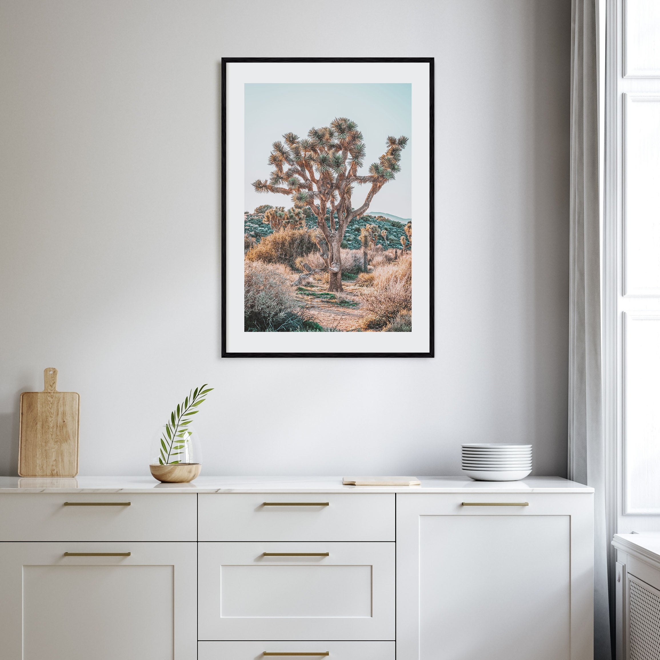 Joshua Tree National Park Photo Color No 4 Poster