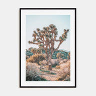 Joshua Tree National Park Photo Color No 4 Poster