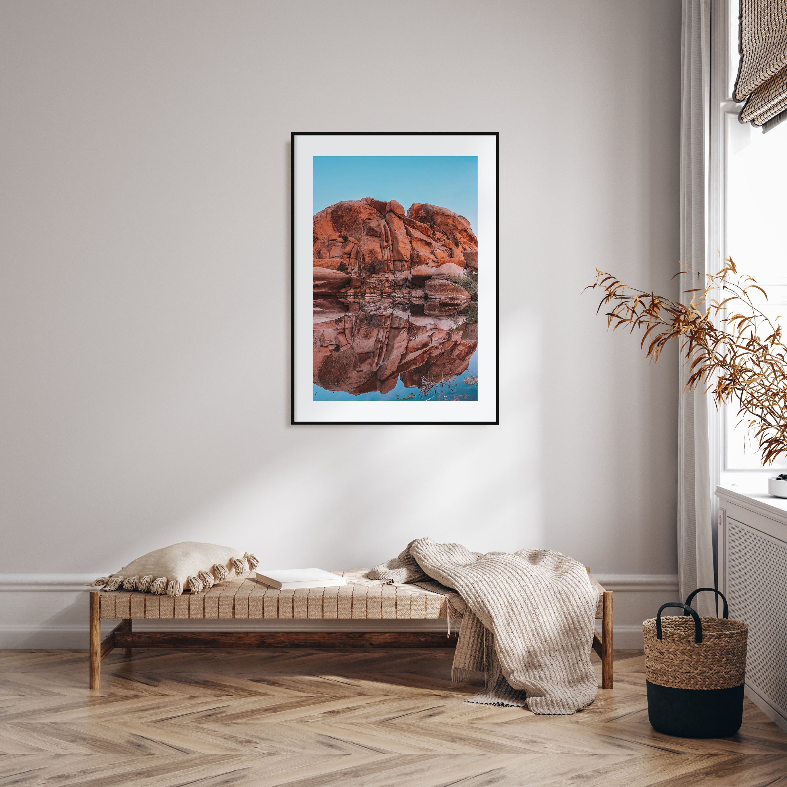 Joshua Tree National Park Photo Color No 5 Poster
