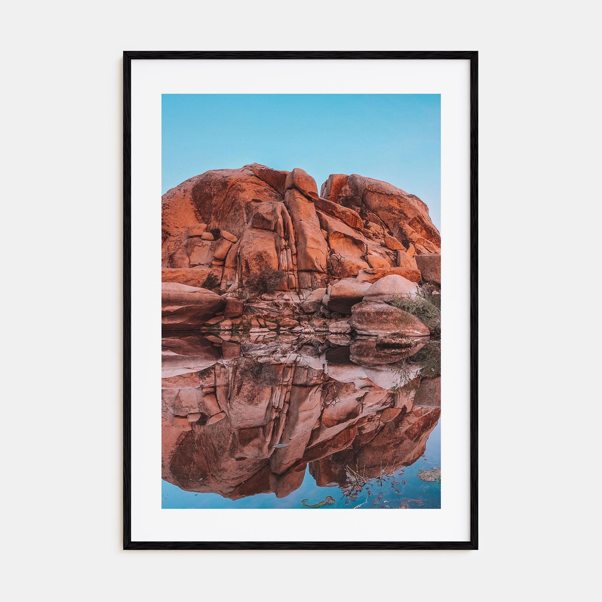 Joshua Tree National Park Photo Color No 5 Poster