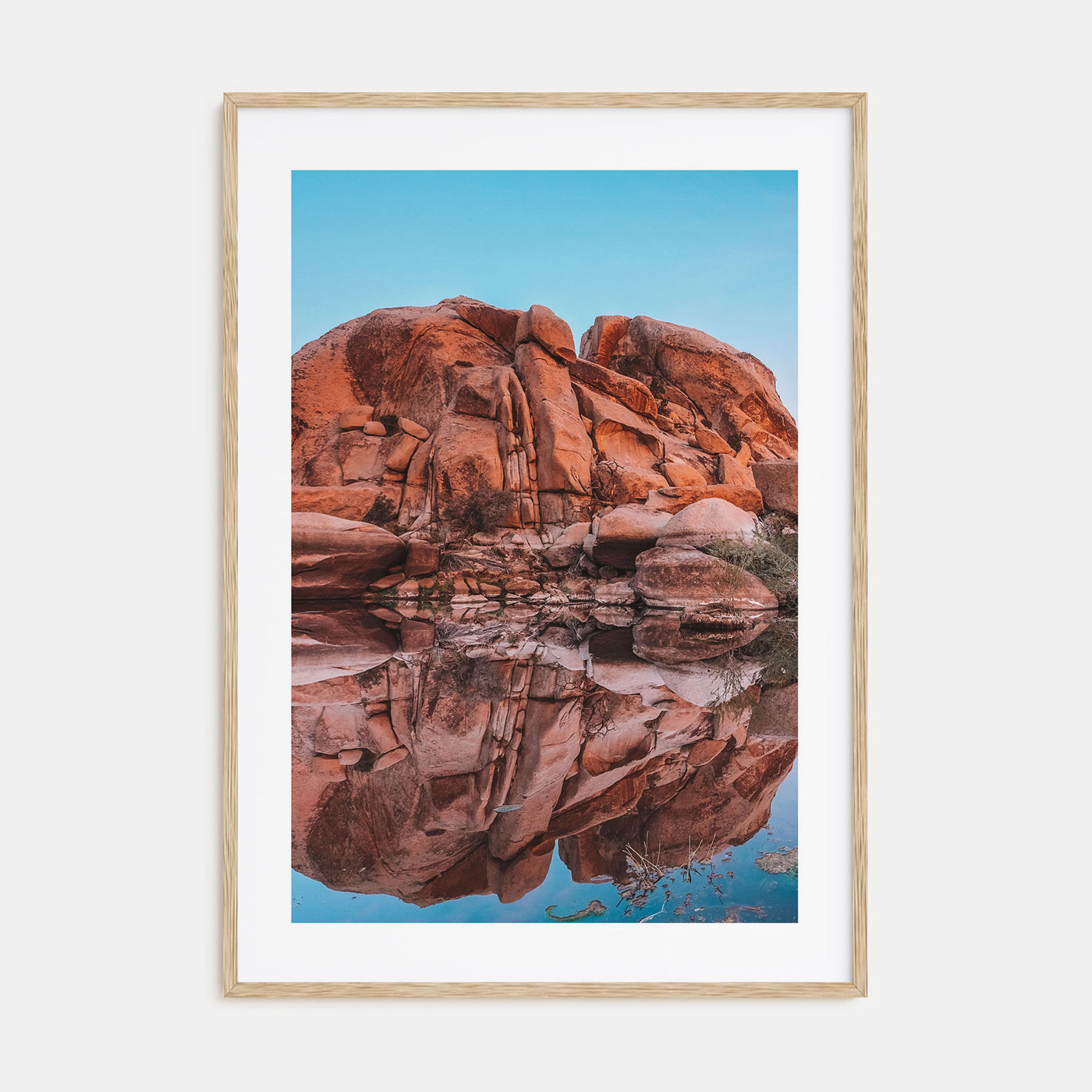 Joshua Tree National Park Photo Color No 5 Poster