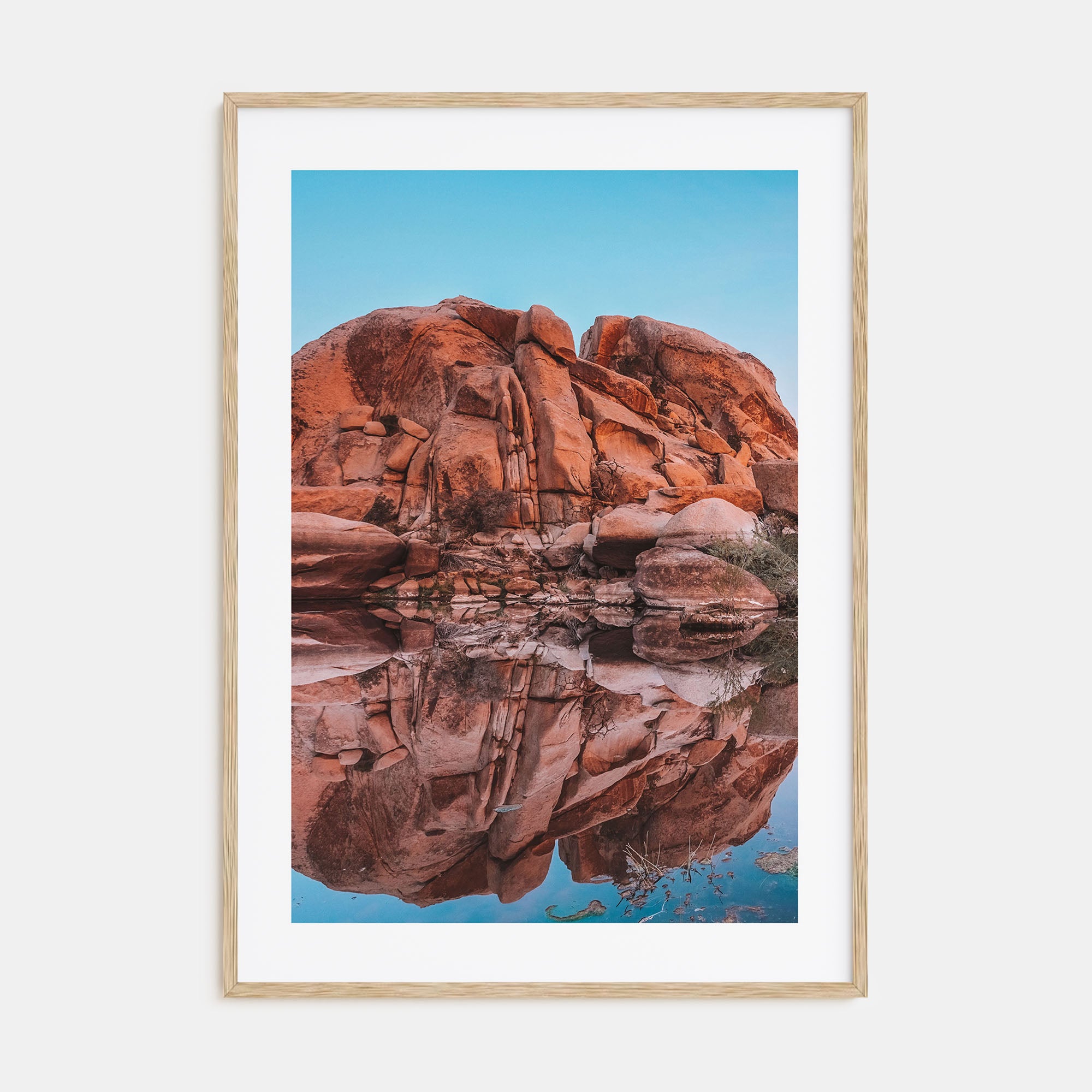 Joshua Tree National Park Photo Color No 5 Poster