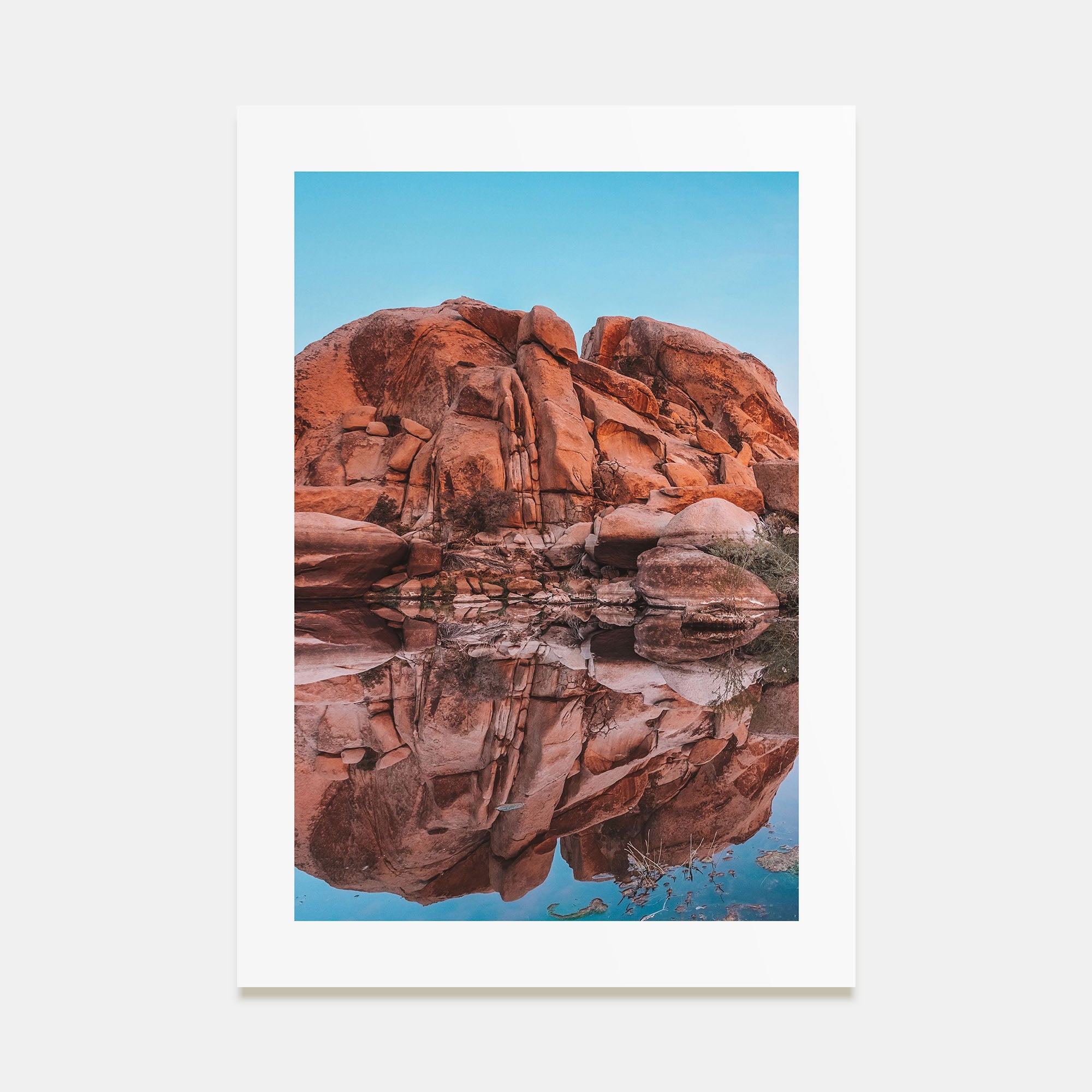 Joshua Tree National Park Photo Color No 5 Poster