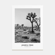 Joshua Tree National Park Portrait B&W No 1 Poster
