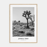 Joshua Tree National Park Portrait B&W No 1 Poster