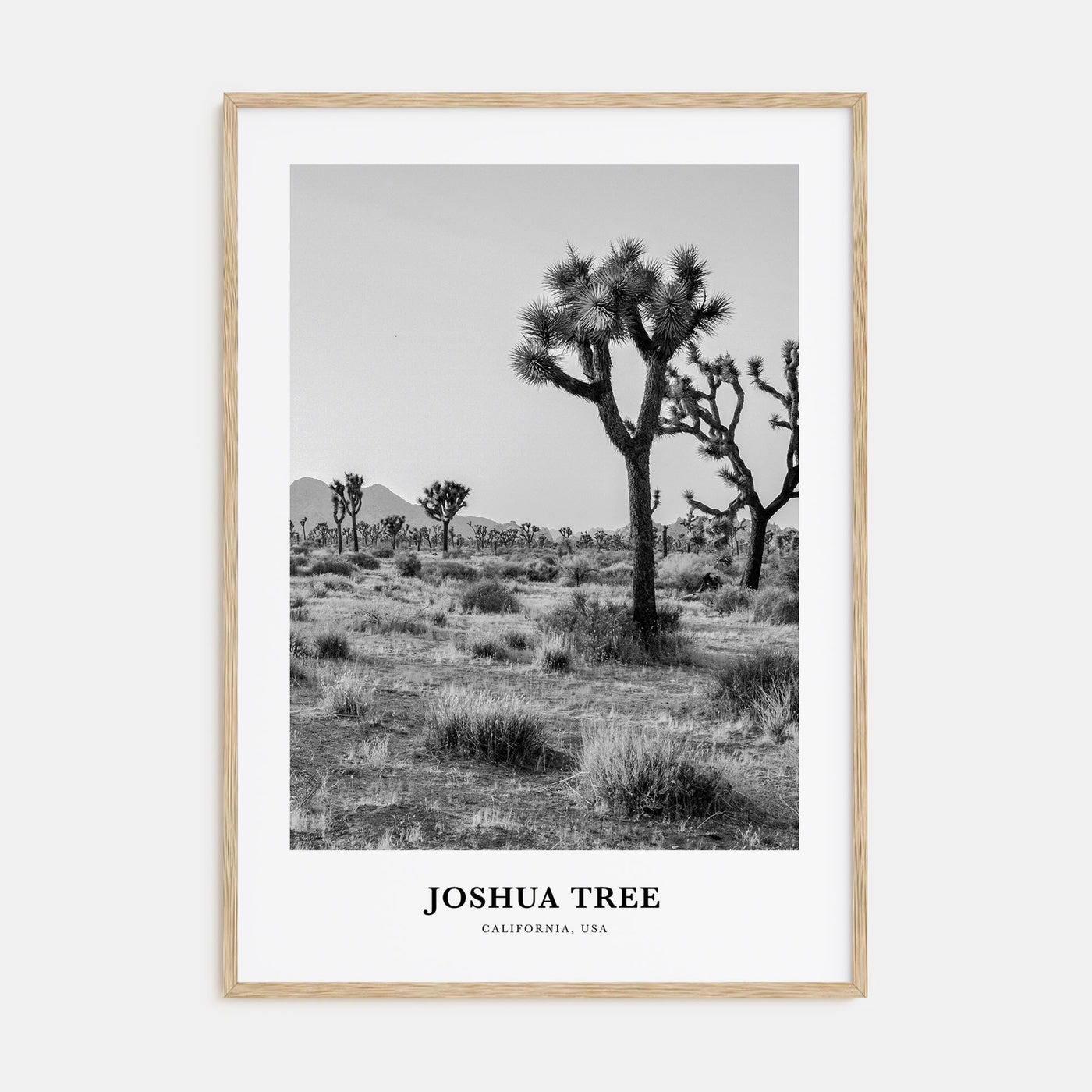 Joshua Tree National Park Portrait B&W No 1 Poster