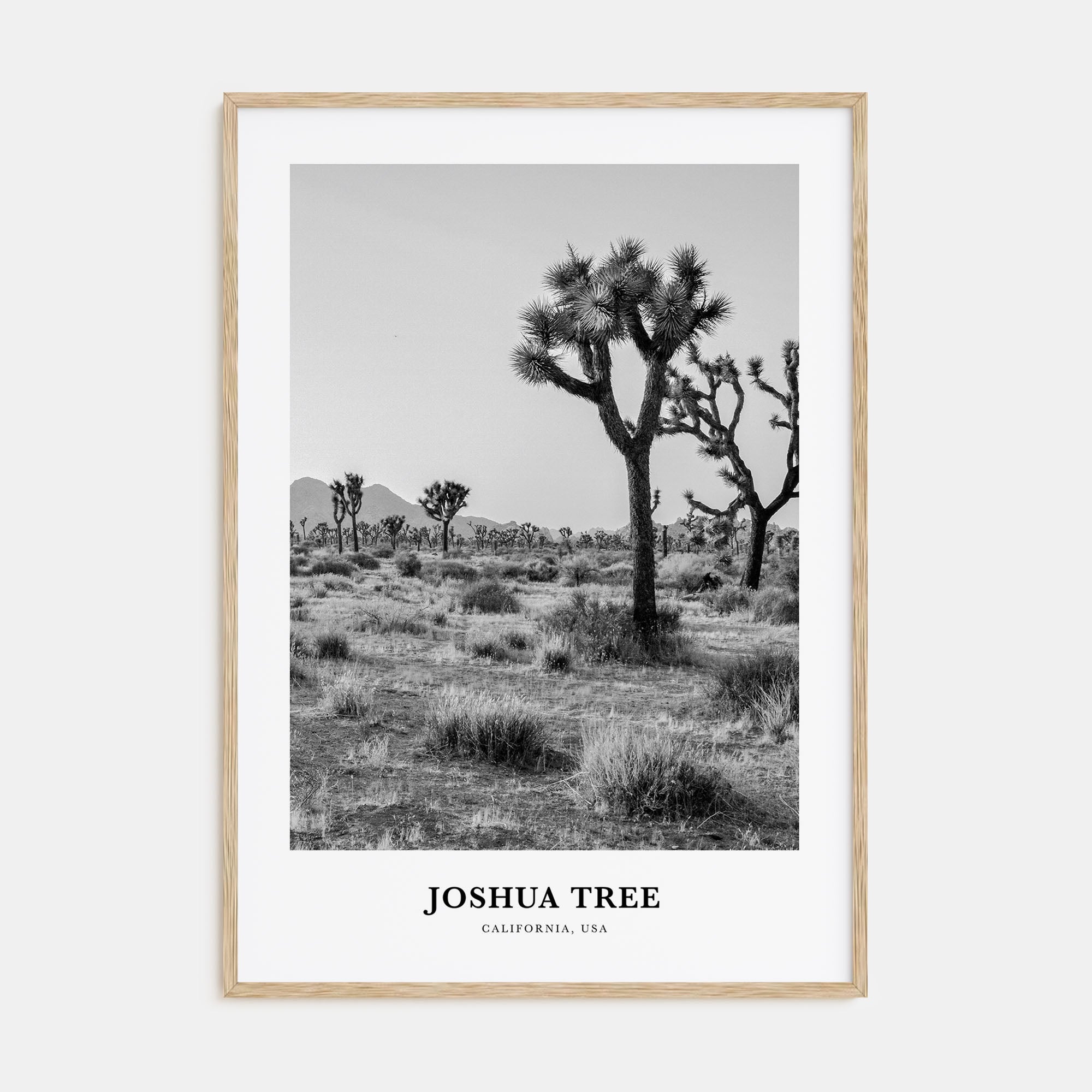 Joshua Tree National Park Portrait B&W No 1 Poster