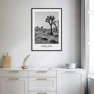 Joshua Tree National Park Portrait B&W No 1 Poster