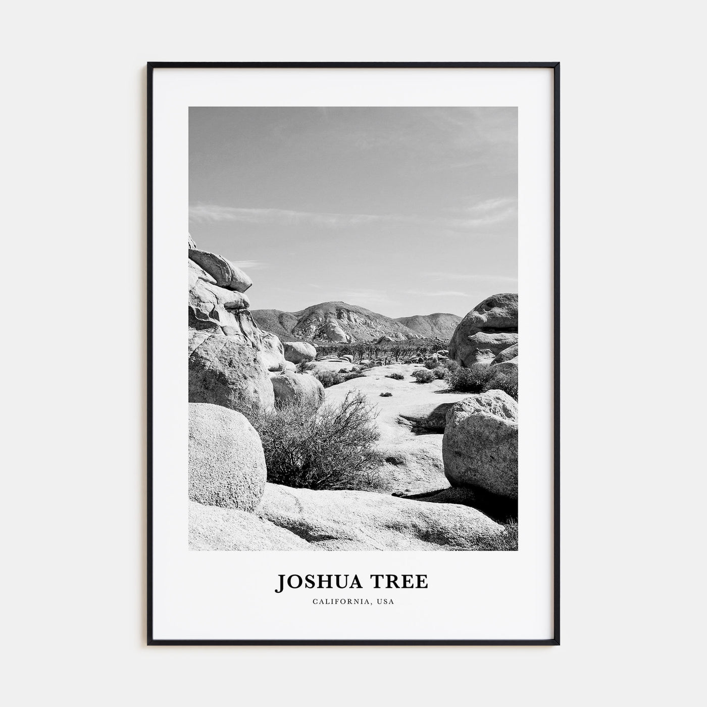 Joshua Tree National Park Portrait B&W No 2 Poster