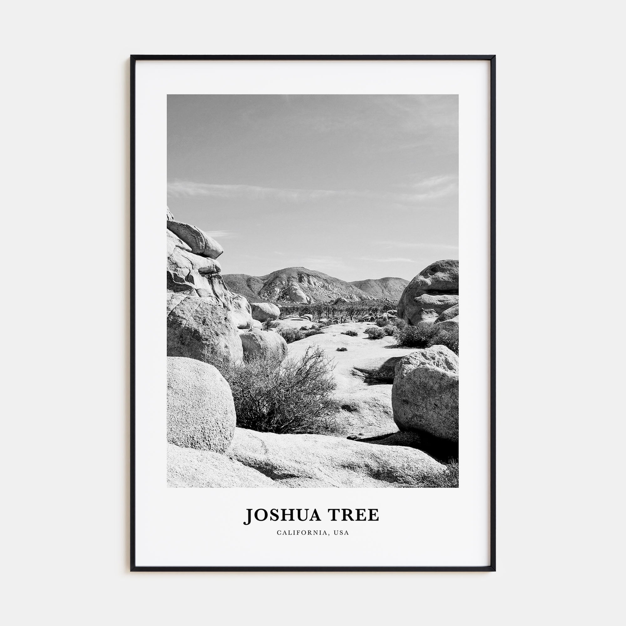 Joshua Tree National Park Portrait B&W No 2 Poster