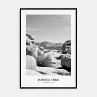 Joshua Tree National Park Portrait B&W No 2 Poster