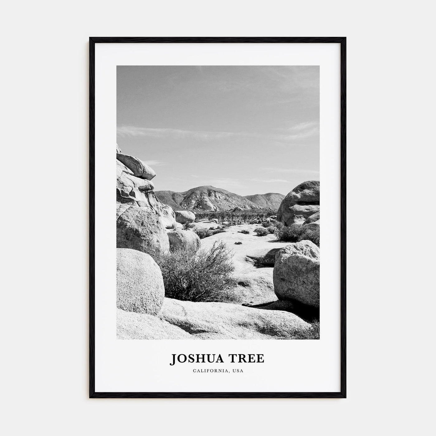 Joshua Tree National Park Portrait B&W No 2 Poster