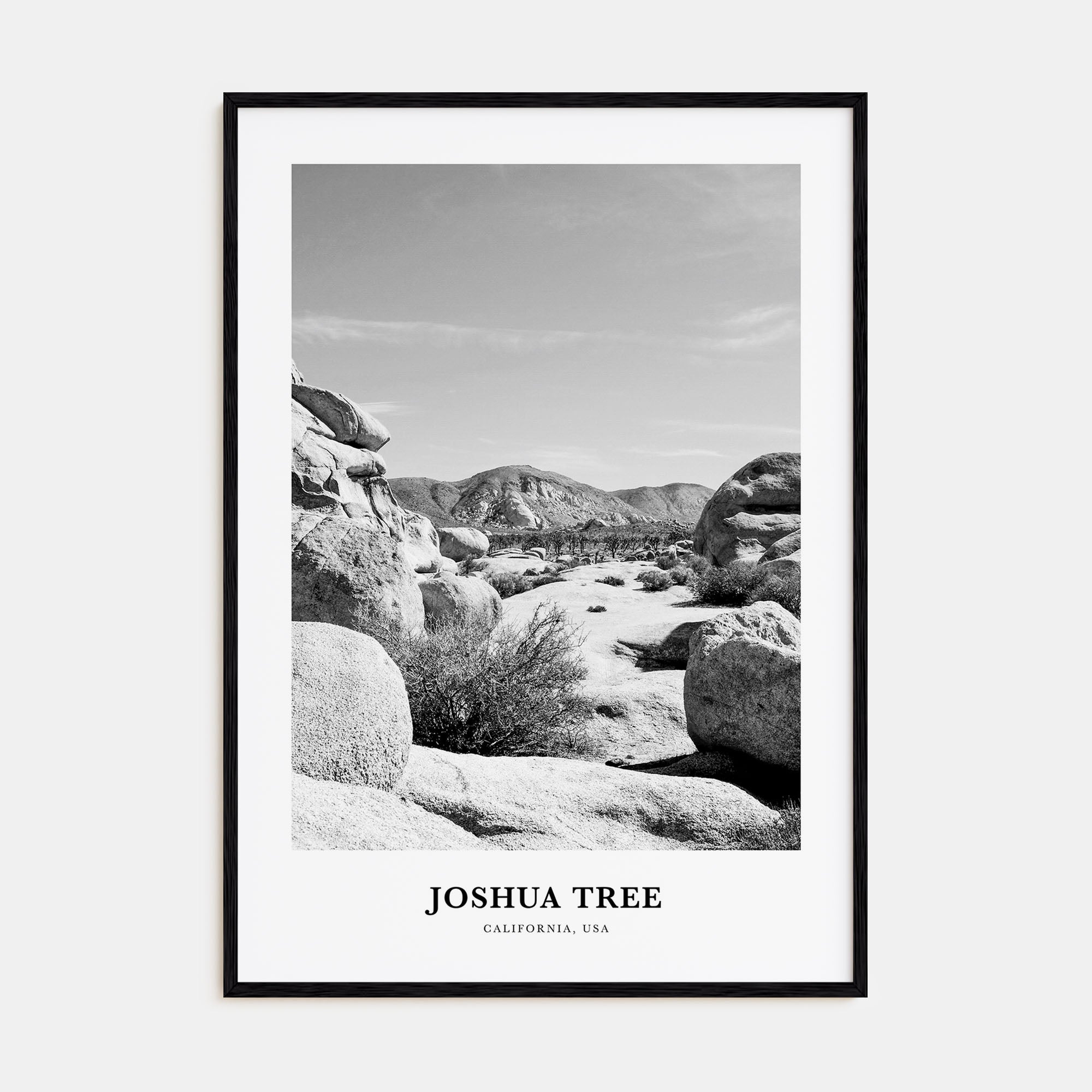 Joshua Tree National Park Portrait B&W No 2 Poster