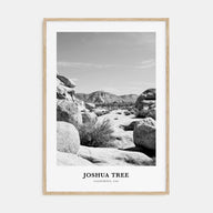 Joshua Tree National Park Portrait B&W No 2 Poster