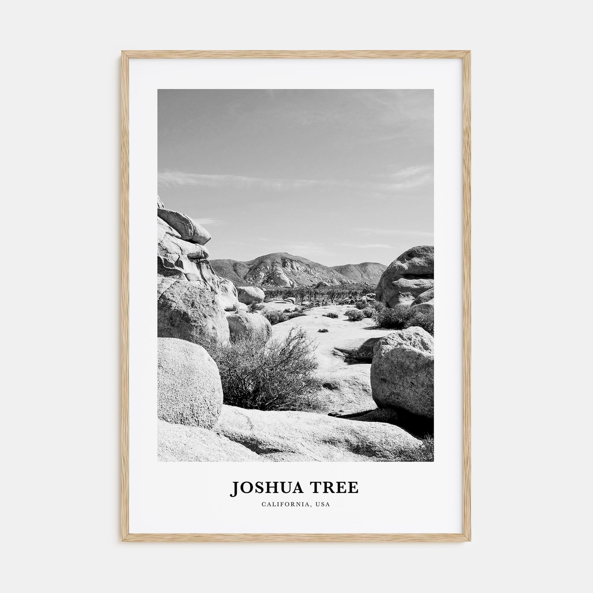 Joshua Tree National Park Portrait B&W No 2 Poster