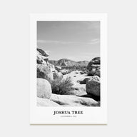 Joshua Tree National Park Portrait B&W No 2 Poster