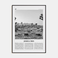 Joshua Tree National Park Travel B&W No 1 Poster