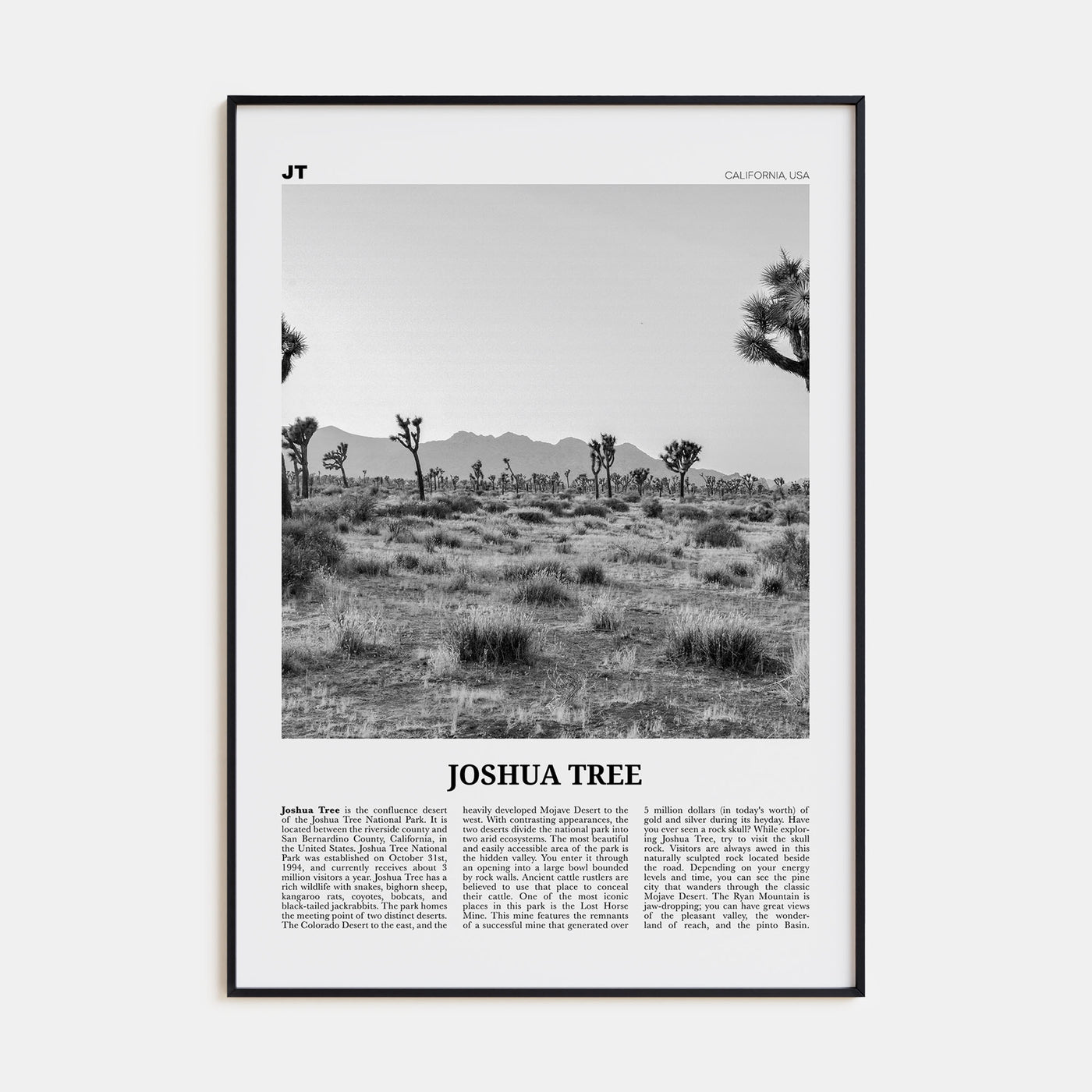 Joshua Tree National Park Travel B&W No 1 Poster