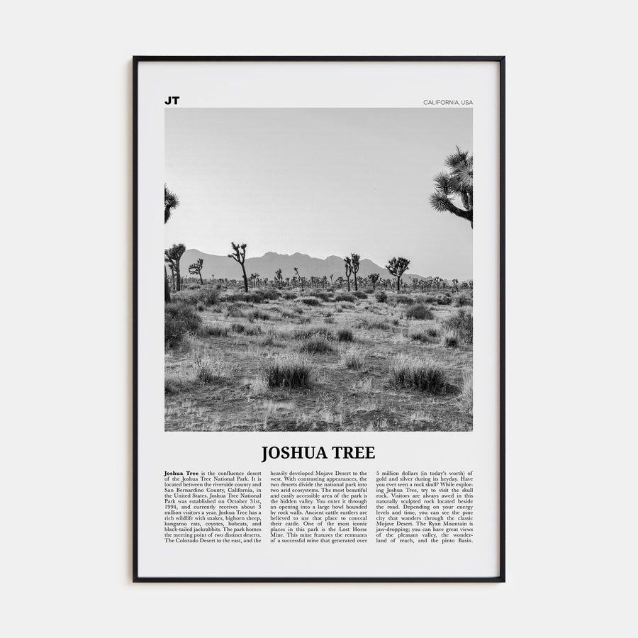 Joshua Tree National Park Travel B&W No 1 Poster
