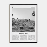 Joshua Tree National Park Travel B&W No 1 Poster