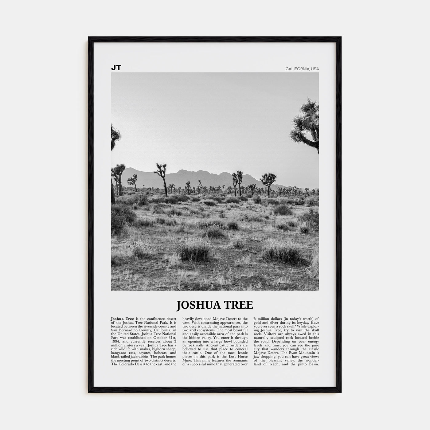 Joshua Tree National Park Travel B&W No 1 Poster