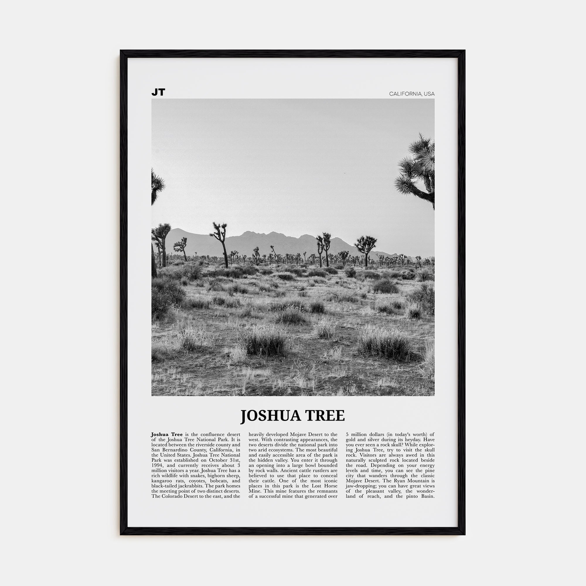 Joshua Tree National Park Travel B&W No 1 Poster