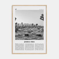 Joshua Tree National Park Travel B&W No 1 Poster
