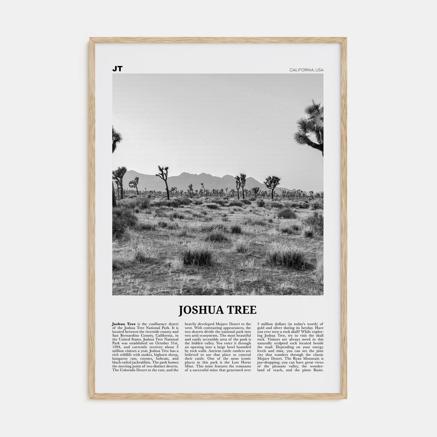 Joshua Tree National Park Travel B&W No 1 Poster