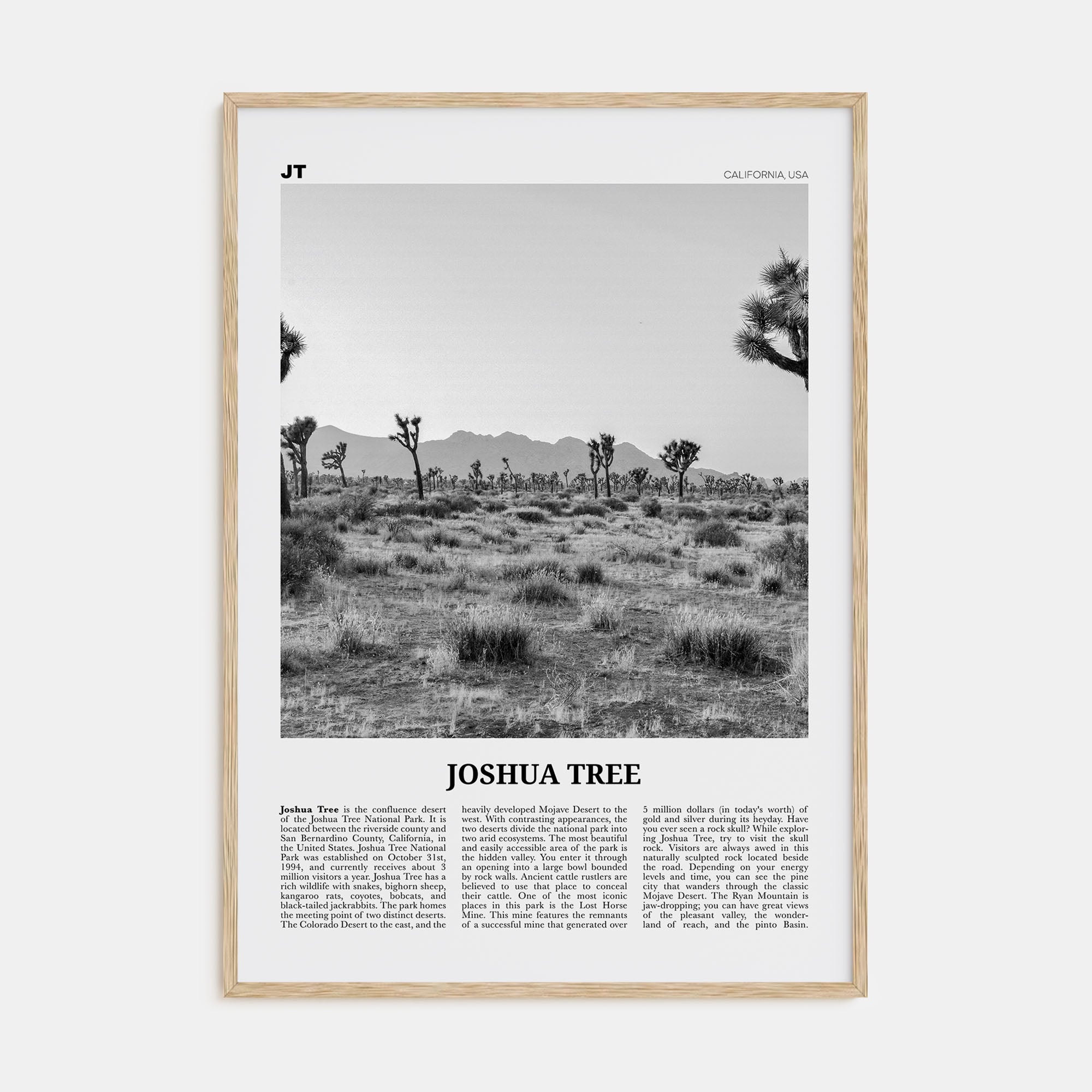 Joshua Tree National Park Travel B&W No 1 Poster