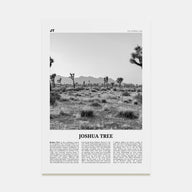 Joshua Tree National Park Travel B&W No 1 Poster