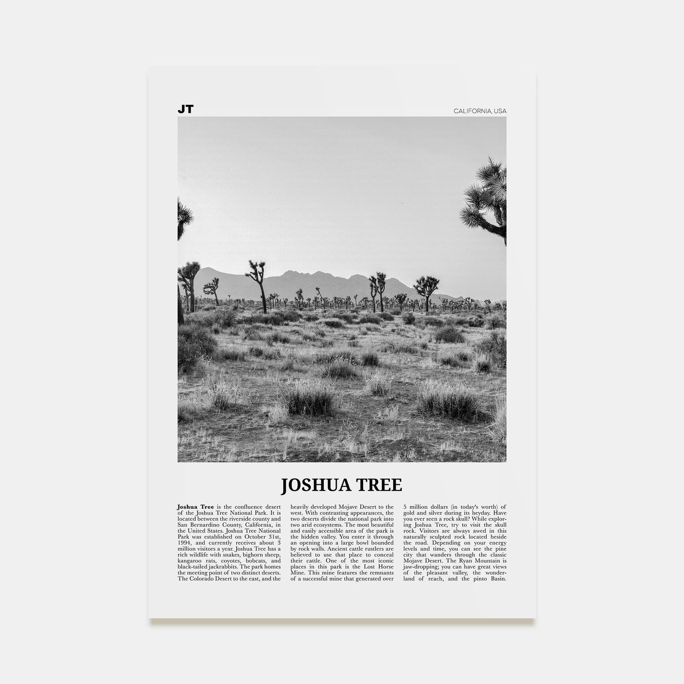 Joshua Tree National Park Travel B&W No 1 Poster