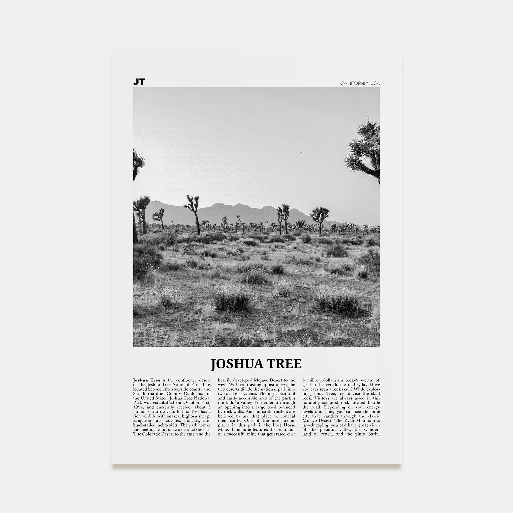 Joshua Tree National Park Travel B&W No 1 Poster