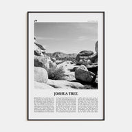 Joshua Tree National Park Travel B&W No 2 Poster