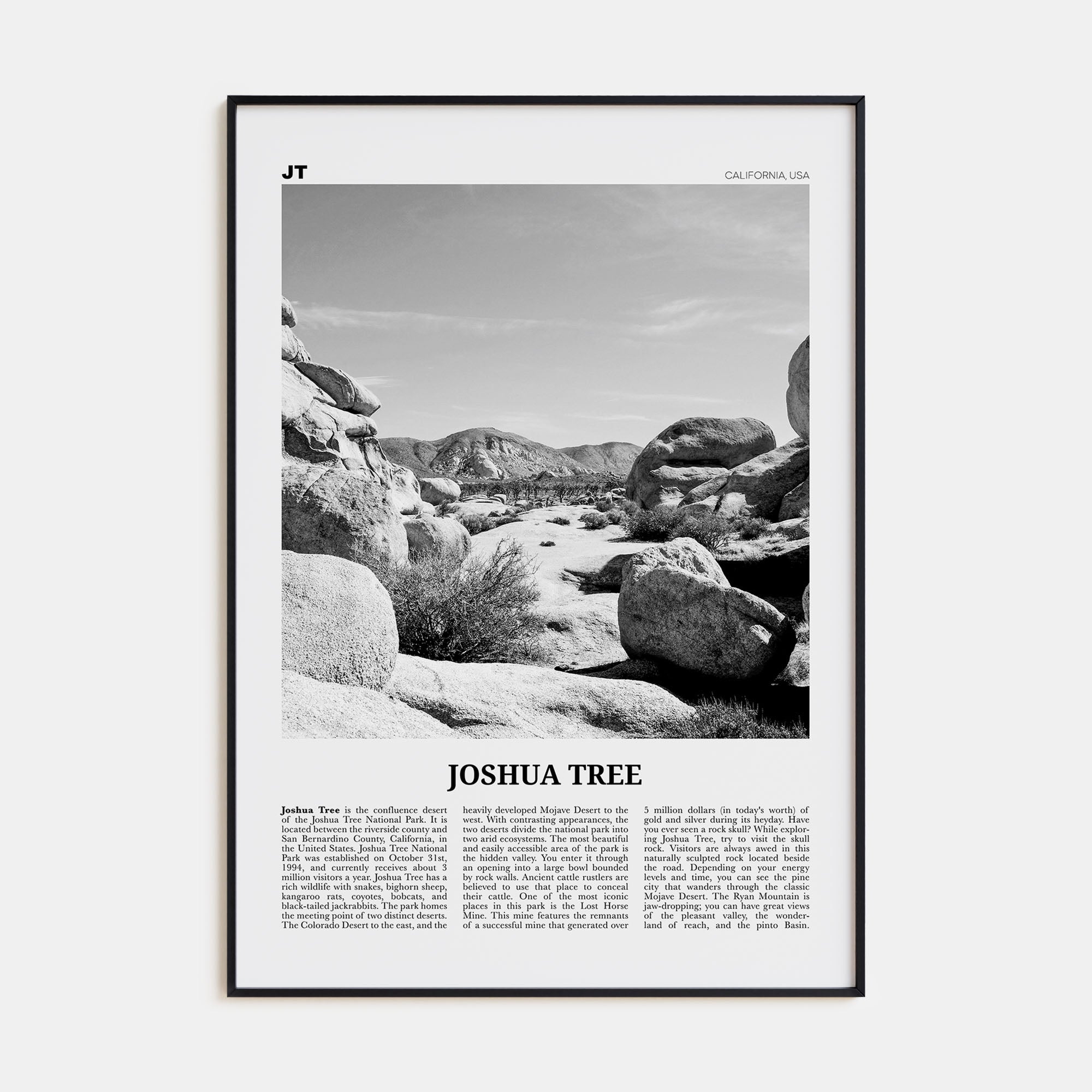 Joshua Tree National Park Travel B&W No 2 Poster