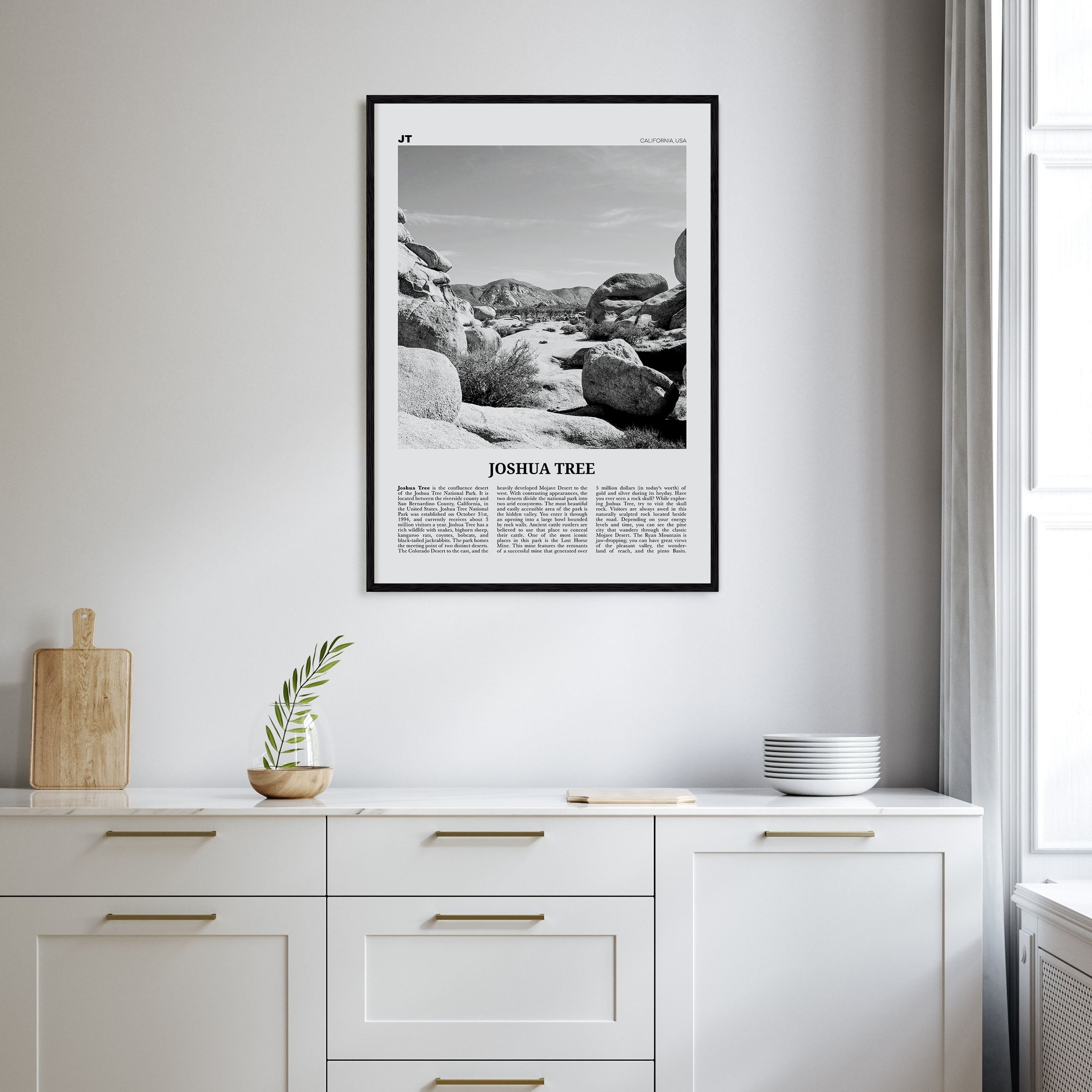 Joshua Tree National Park Travel B&W No 2 Poster