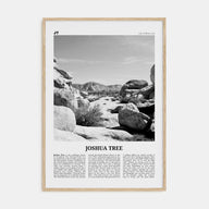 Joshua Tree National Park Travel B&W No 2 Poster