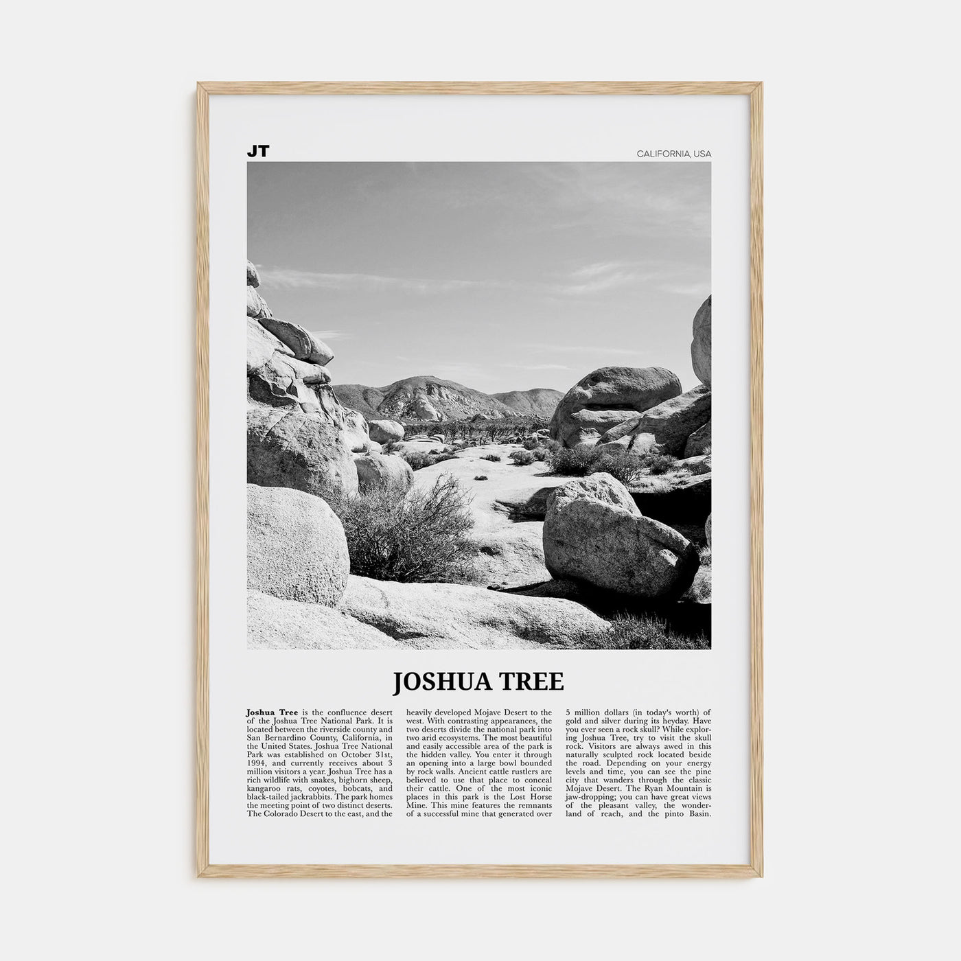 Joshua Tree National Park Travel B&W No 2 Poster