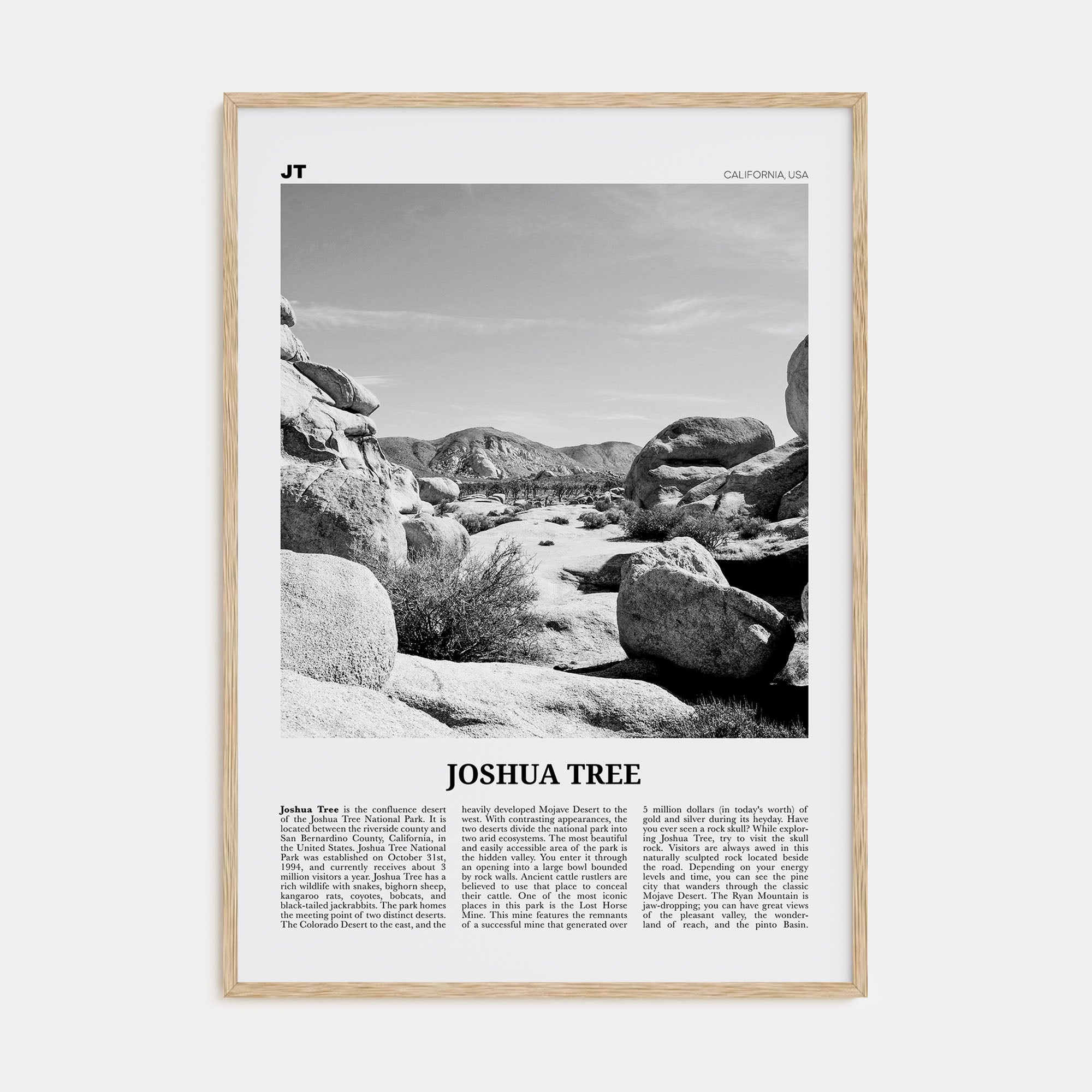 Joshua Tree National Park Travel B&W No 2 Poster