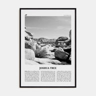Joshua Tree National Park Travel B&W No 2 Poster