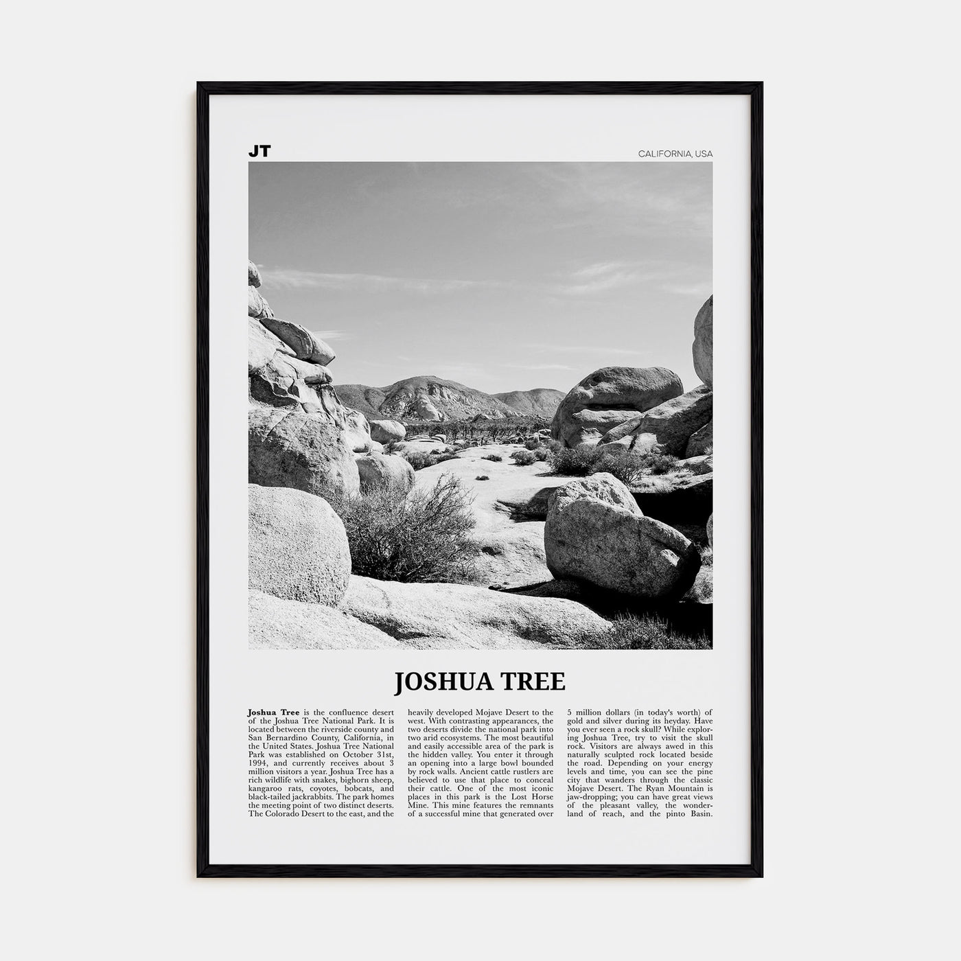 Joshua Tree National Park Travel B&W No 2 Poster