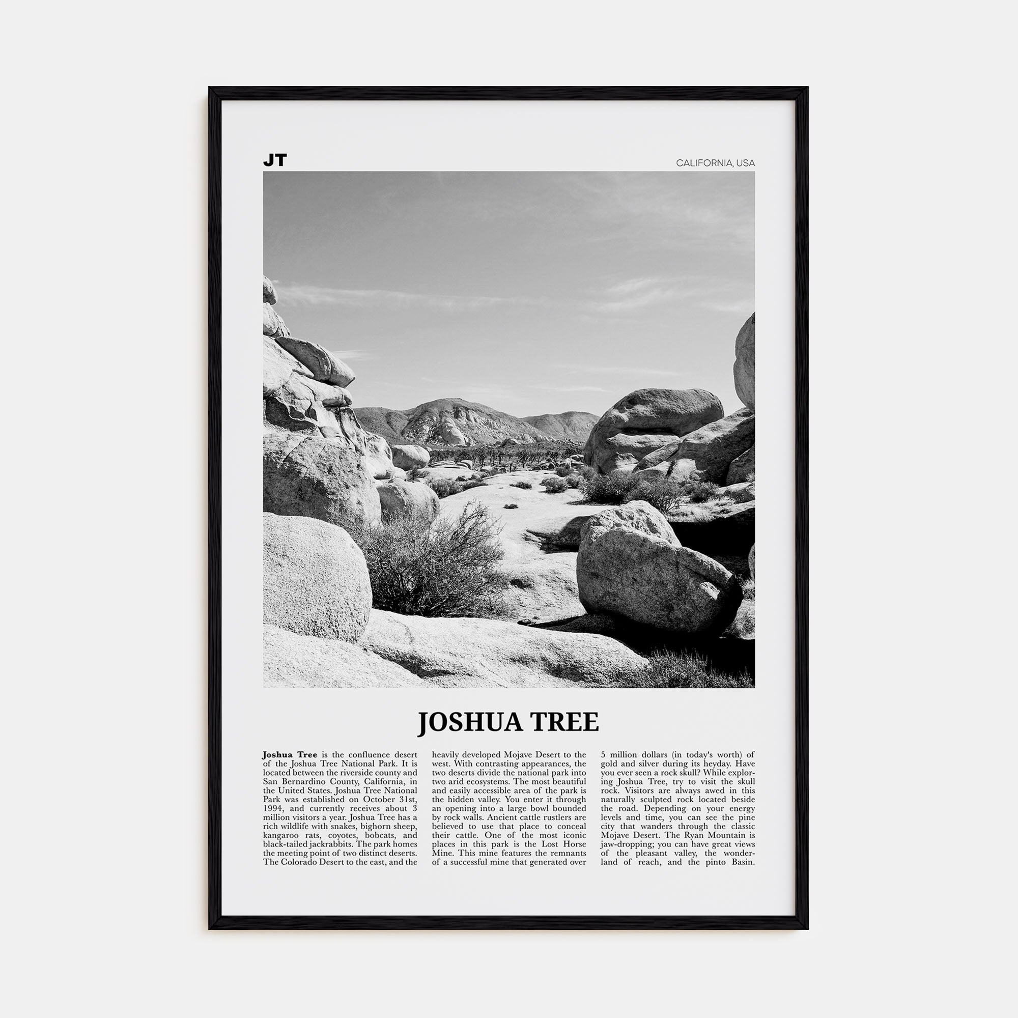 Joshua Tree National Park Travel B&W No 2 Poster