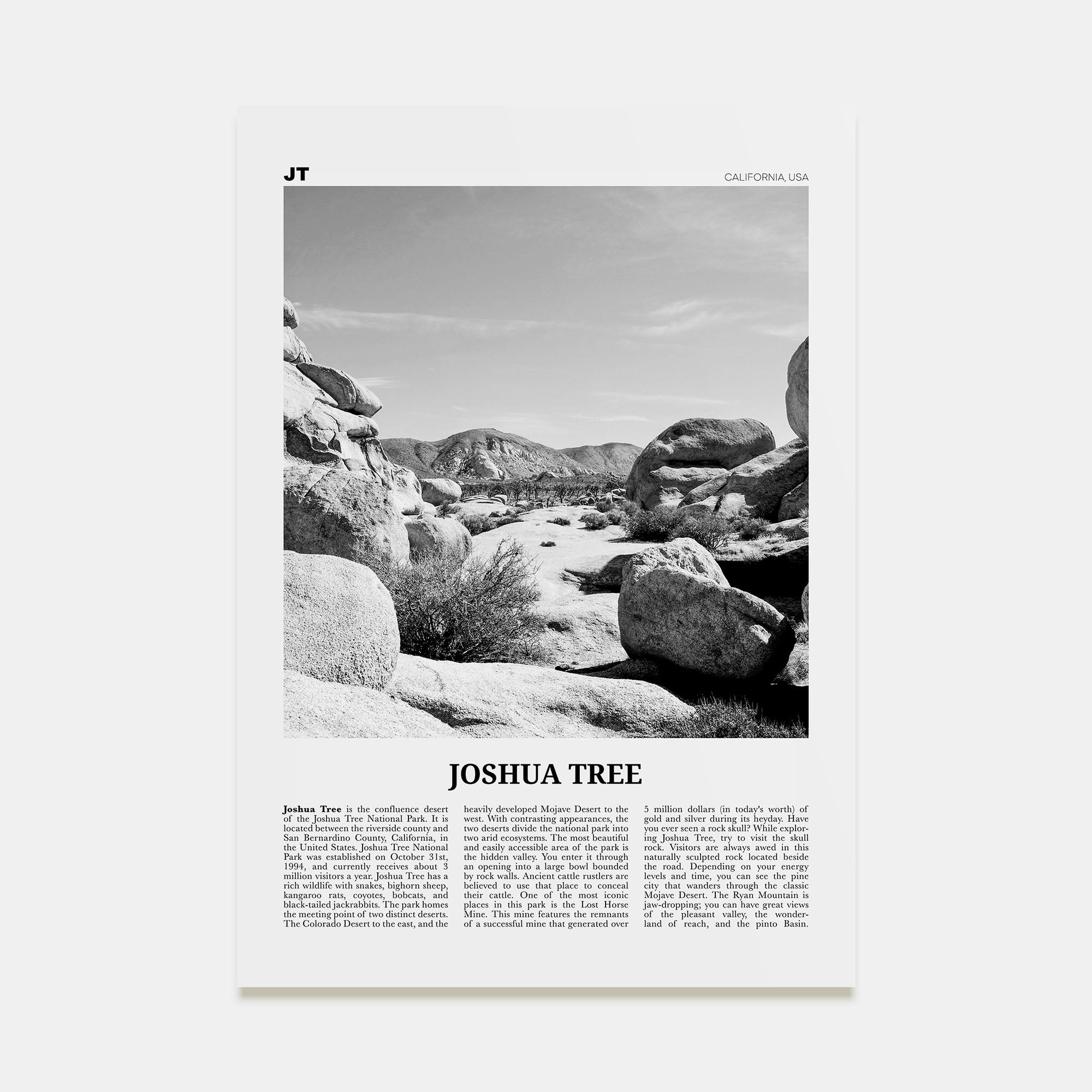 Joshua Tree National Park Travel B&W No 2 Poster