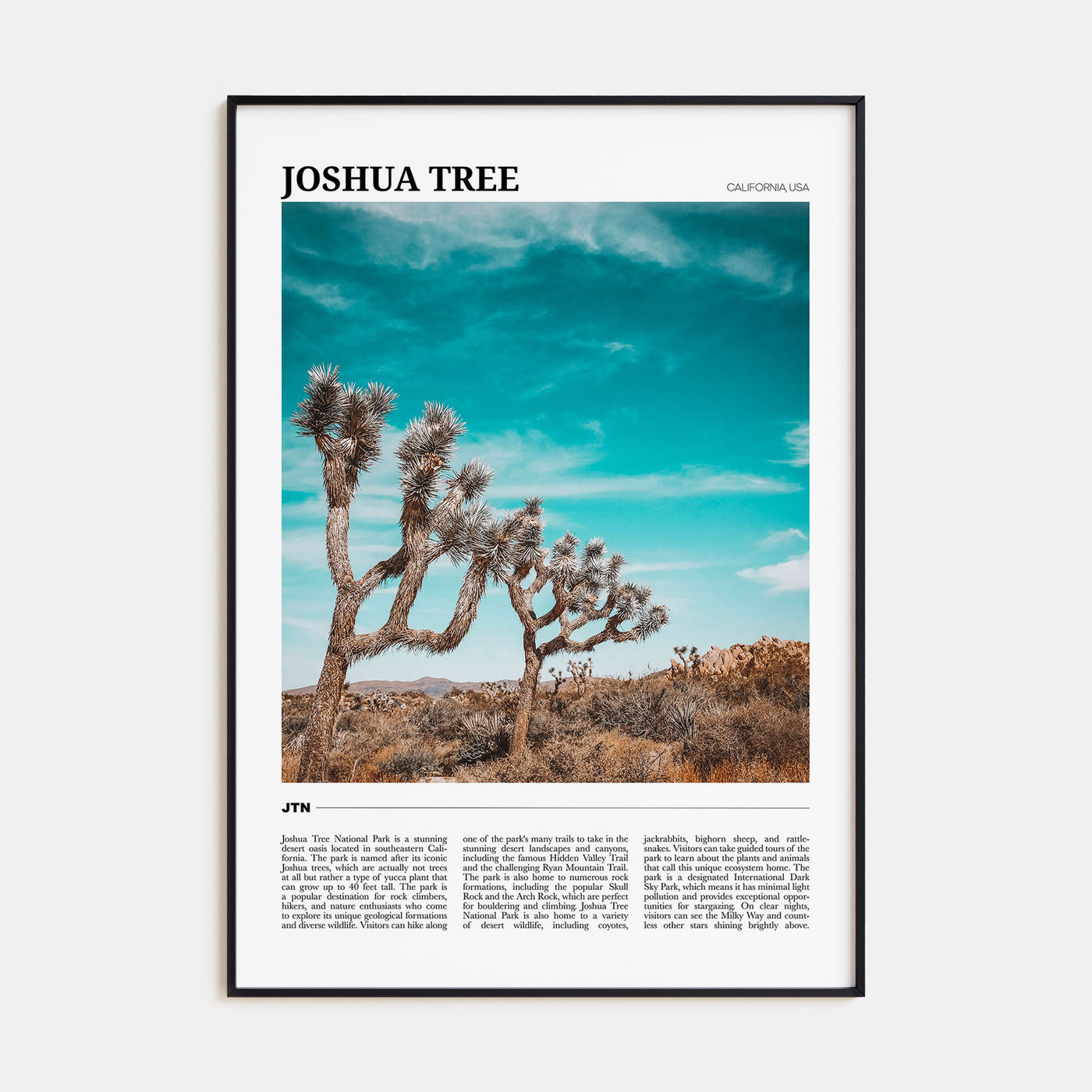 Joshua Tree National Park Travel Color Poster