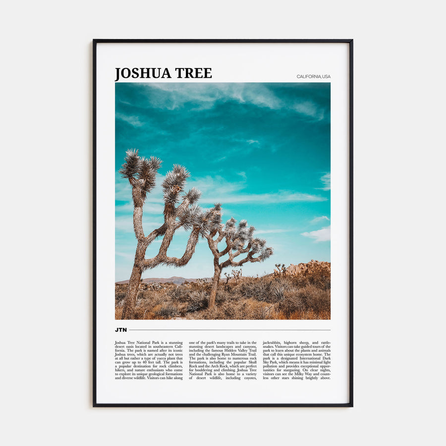 Joshua Tree National Park Travel Color Poster